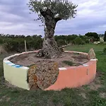 בית חווה Vignola Mare