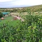 Vignola Mare בית חווה אגליאנטו