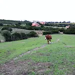 בית חווה Vignola Mare אגליאנטו