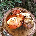בית חווה Vignola Mare אגליאנטו