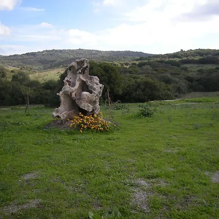 Farm stay Vignola Mare Aglientu