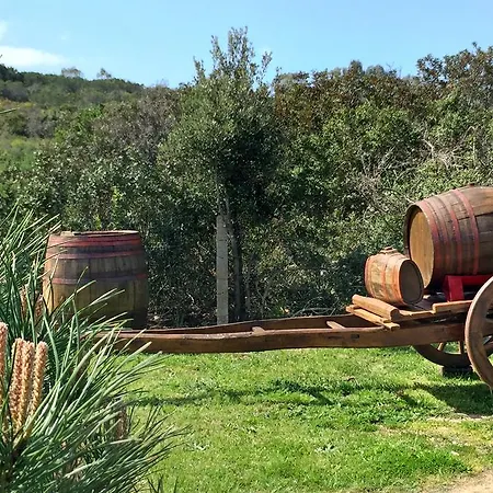 Farm stay Vignola Mare Aglientu