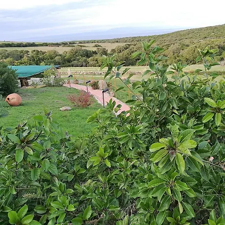 Vignola Mare Farm stay Aglientu
