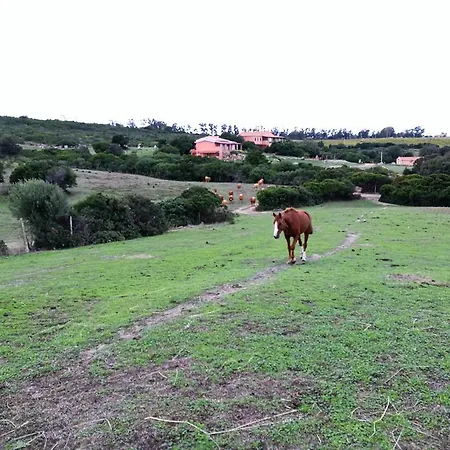 Çiftlik konaklama Vignola Mare Aglientu