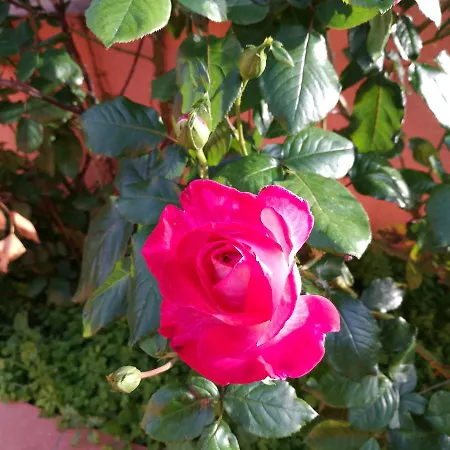 Farm stay Vignola Mare