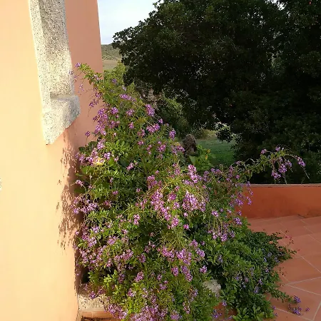 Vignola Mare
