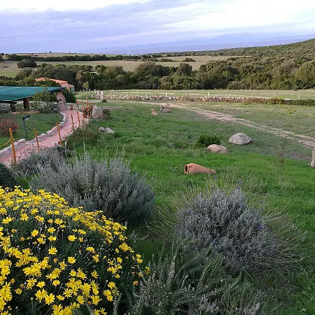 Farm stay Vignola Mare Aglientu