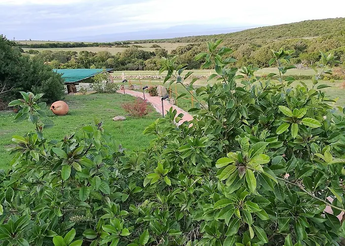 Vignola Mare Alloggio per agriturismo Aglientu
