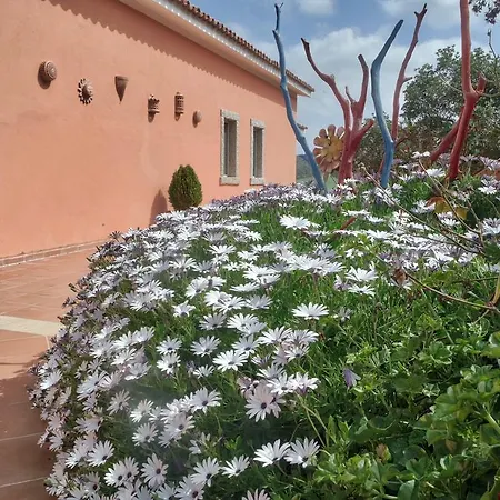 Vignola Mare * אגליאנטו