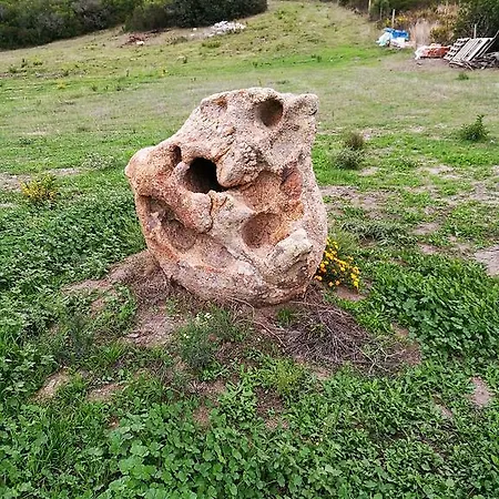 Vignola Mare Vakantieboerderij *