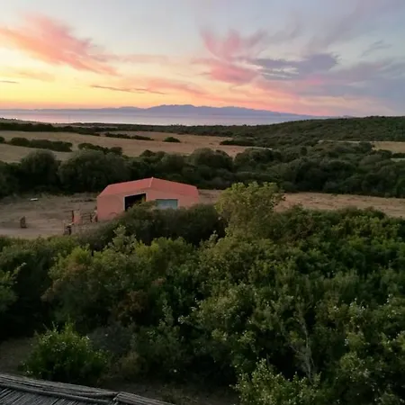 팜스테이 Vignola Mare 아글리엔투