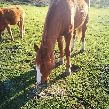 Vignola Mare * Aglientu