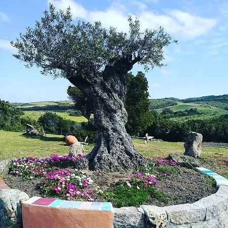 Vignola Mare 팜스테이 아글리엔투