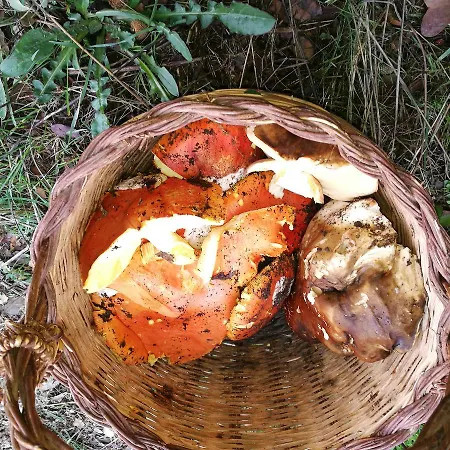 Agroturismo Vignola Mare Aglientu