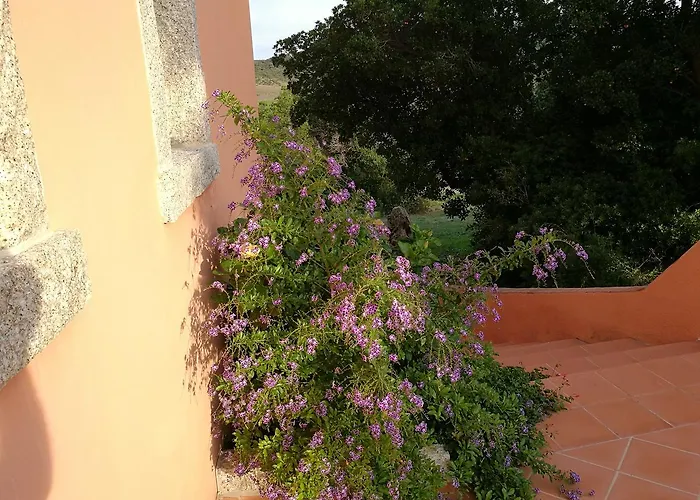 Vignola Mare