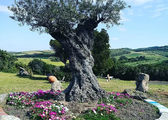 Vignola Mare Vakantieboerderij Aglientu