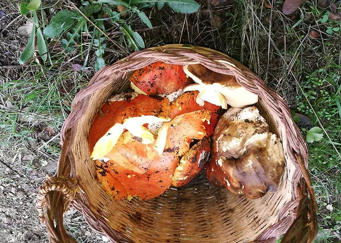Vakantieboerderij Vignola Mare Aglientu