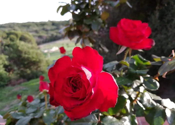 Vakantieboerderij Vignola Mare Aglientu