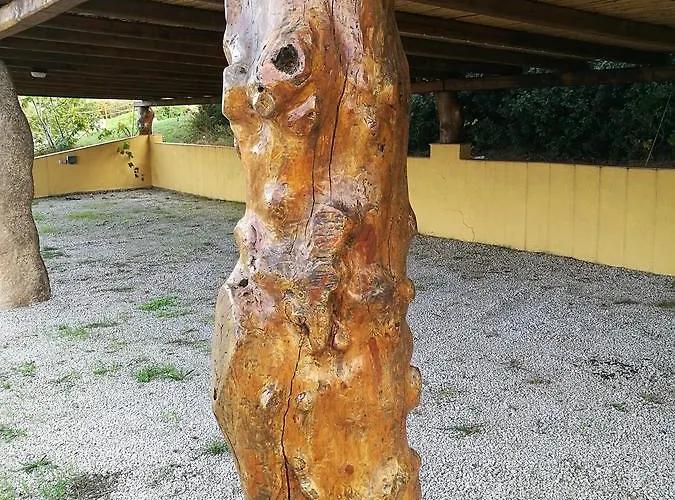 Vignola Mare Vakantieboerderij